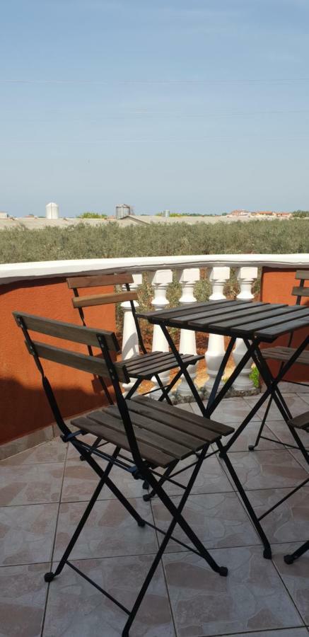 Apartma Jelka Новиград Екстериор снимка